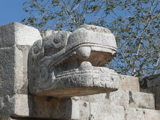 Ausschnitt aus der Adler und Jaguar Plattform