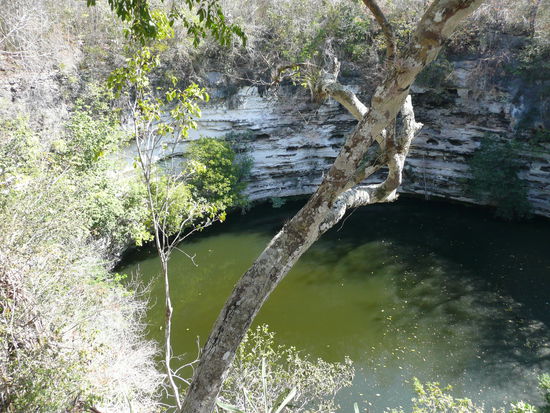 Die Heilige Cenote