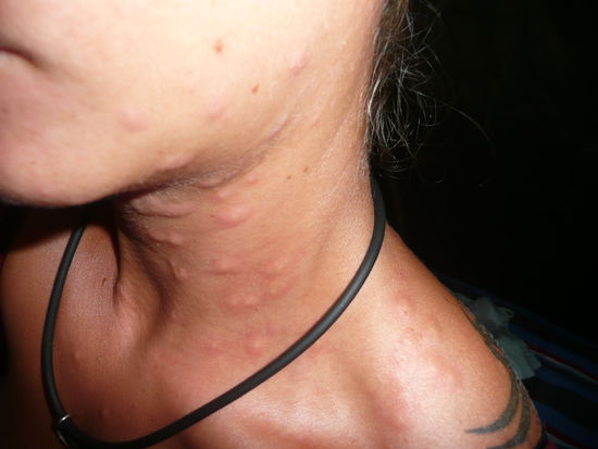 Meine Bettfloehe moechte ich euch nicht vorenthalten )