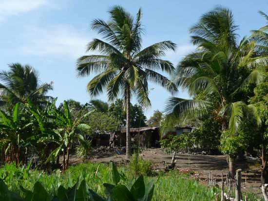 Besuch auf einer bewohnten Insel