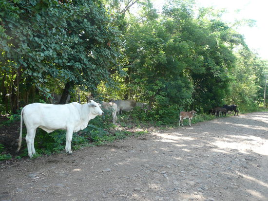 Auf dem Weg zum Wasserfall