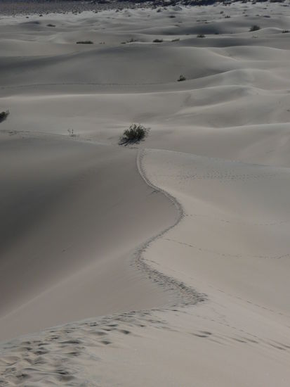 Mesquite Flat Sand Dunes