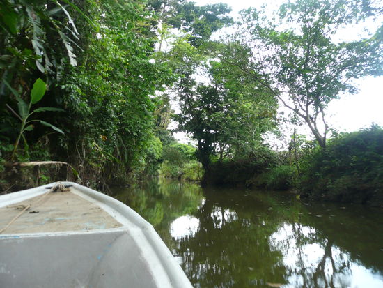 Auf dem Weg zum Projekt