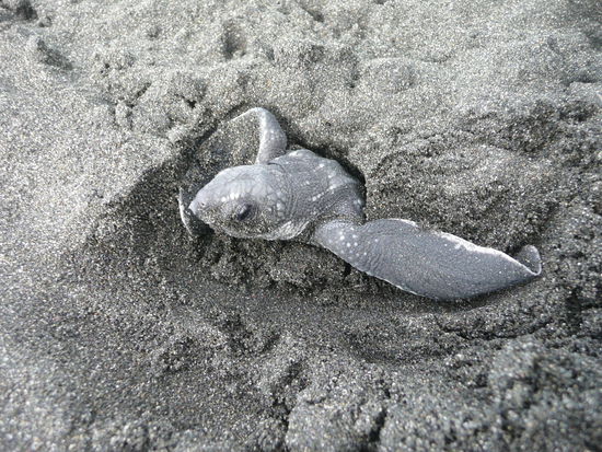 Phu endlich geschafft )