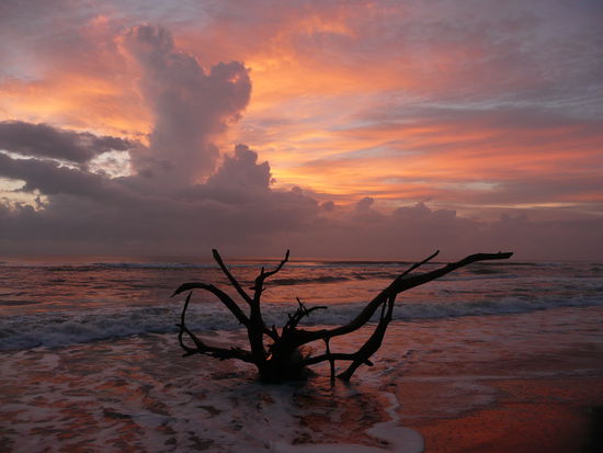 Sonnenaufgang bei einer Fruehschicht