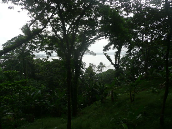 Aussicht vom Thairestaurant