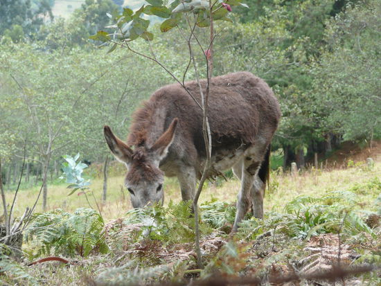 Auf dem Weg zum Nationalpark