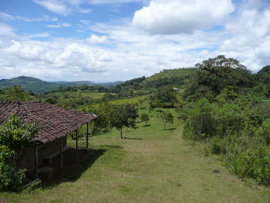 Auf dem Weg zu El Purutal