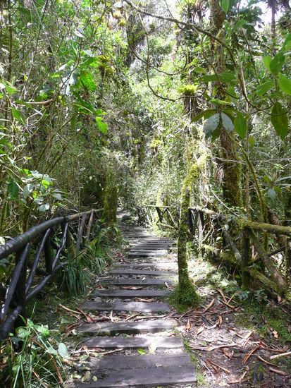 Der Weg duch die Insel
