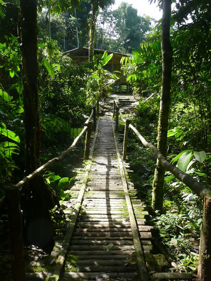 Auf dem Weg zum  Abendessen