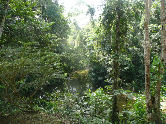 und die dazugehoerige Aussicht