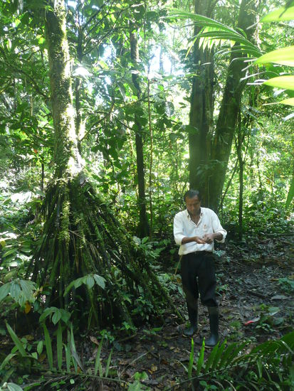 Pedro am vorfuehren einer Falle.