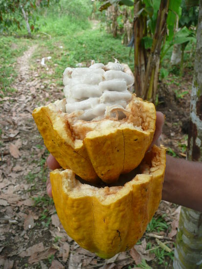 Und so sieht es aus wenn man probieren muss )