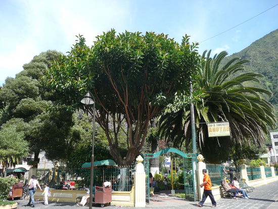 Der kleine Stadtpark