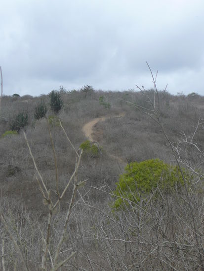 Unglaublich wie etwas bluehen kann in dieser oeden Landschaft.