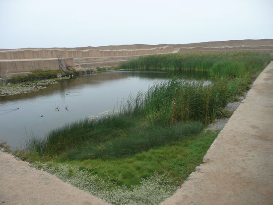 Eine Oase der Ruhe mitten in Chan Chan