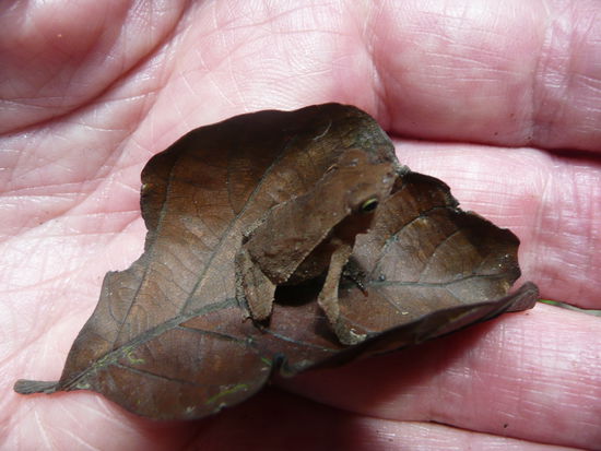 Entdeckungen auf dem Weg