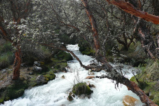 Auf dem Weg zur Lagune