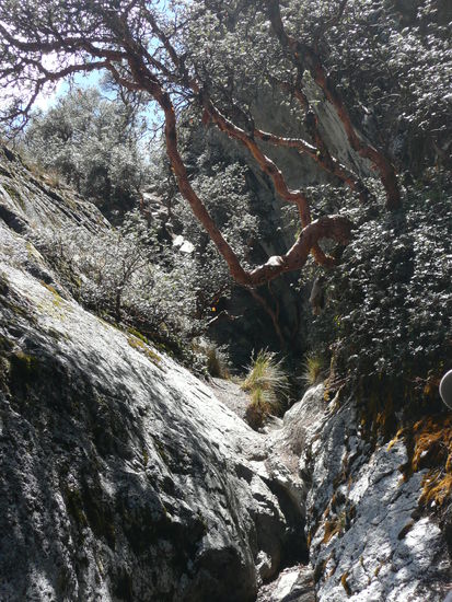 Jetzt wird geklettert