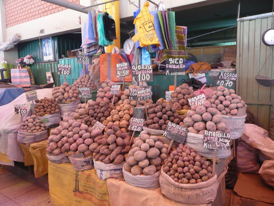 In ganz Peru gibt es 100 verschiedene Arten von Kartoffeln