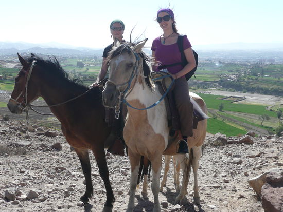 Unsere 2 Paso Pferde