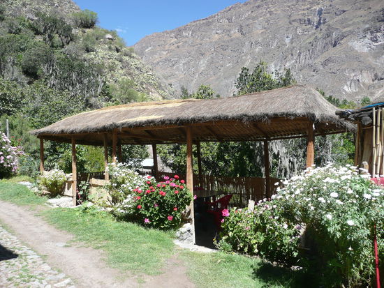 Hier assen wir unser erstes Alpaka 