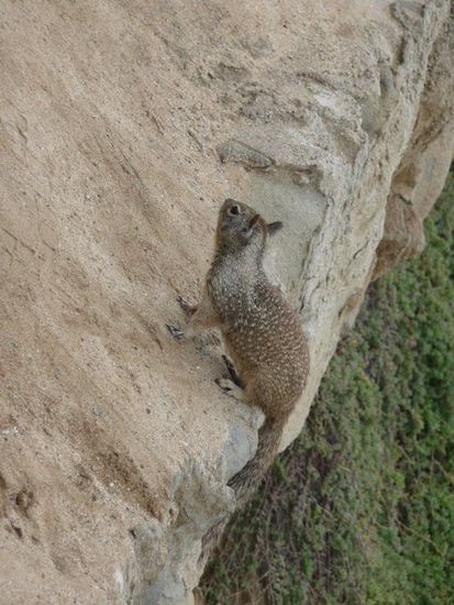 Die waren ueberall )