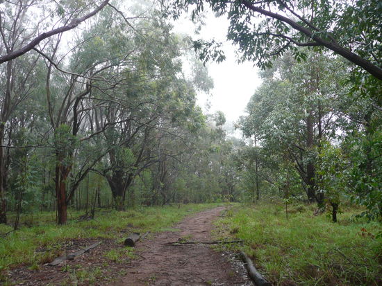 Auf dem Weg nach unten