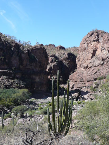 Auf dem Weg in den Canyon der Felsmalereinen