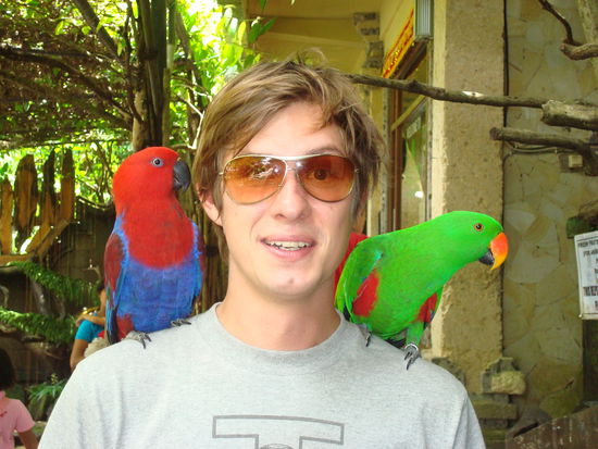 Mhhhhh wer is da der Vogel? 