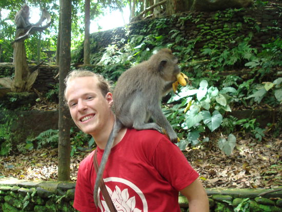 Hilfe hungriger Affe