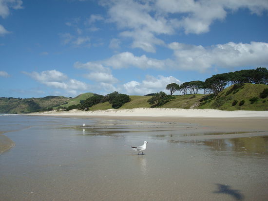Strand in der naehe von Ohama