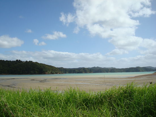 In der naehe von der Bay of Islands