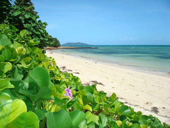 Einsamer Strand auf Mana Island