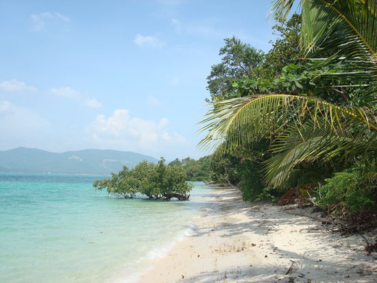 Braucht nicht viele Worte