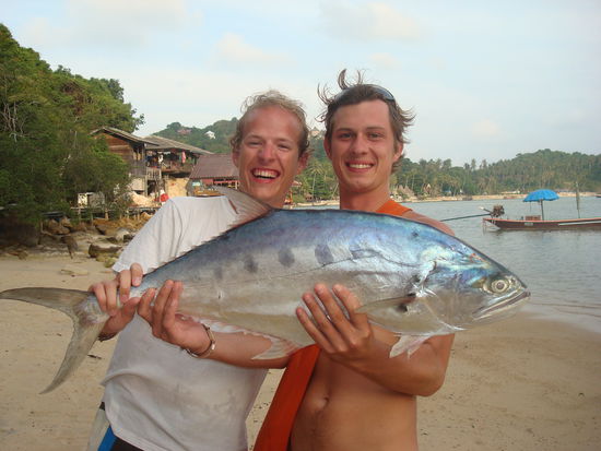 Ein kleiner Queenfish