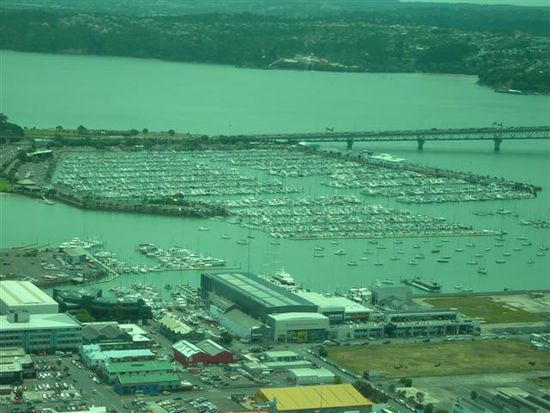 Auckland von oben I