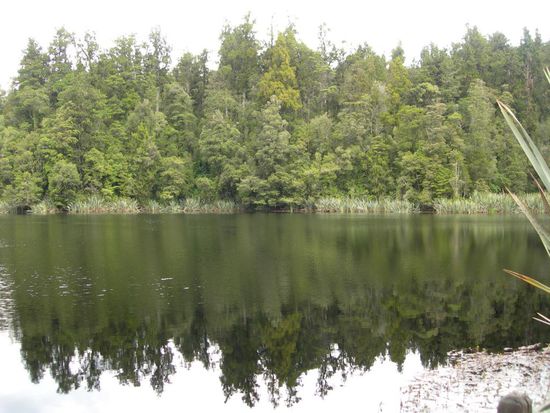 Lake Matheson 2