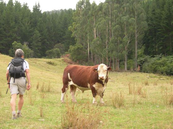 Evi der wartet darauf das du ueber seine wiese wanderst (hat er mir gesagt)