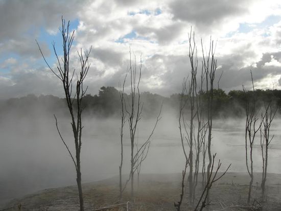 dampfender StinkeSEE