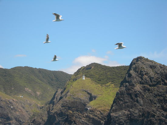 cape brett (oder so)