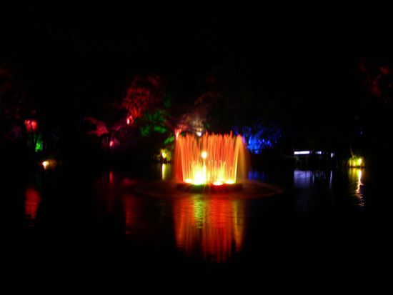 festival of lights