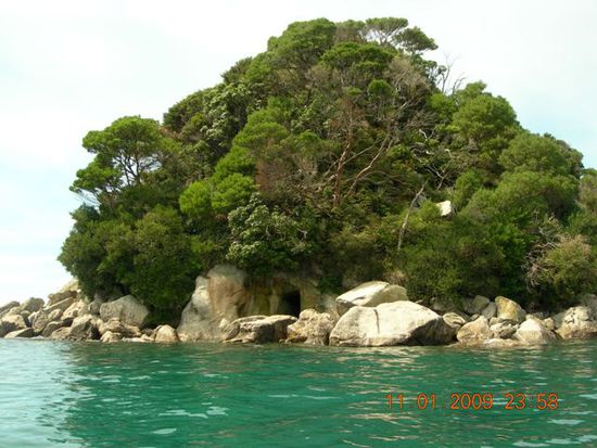 robben insel