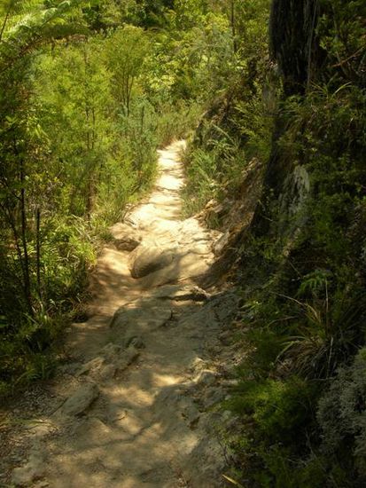 typischer wanderweg