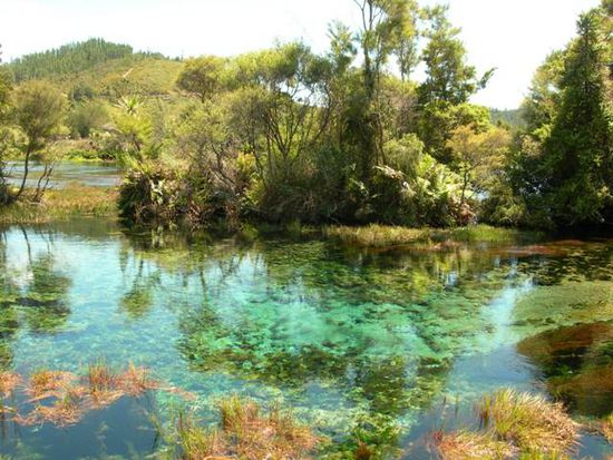 Pupu-Springs (groesste Frischwasserquellen NZs & angeblich die reinsten der welt / das wasser wird durch unterirdische loecher nach oben katapulltiert)