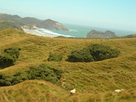 Wanderung vom Beach zum Farewell Spit (4h)