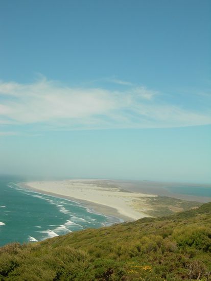 Farewell Spit von oben