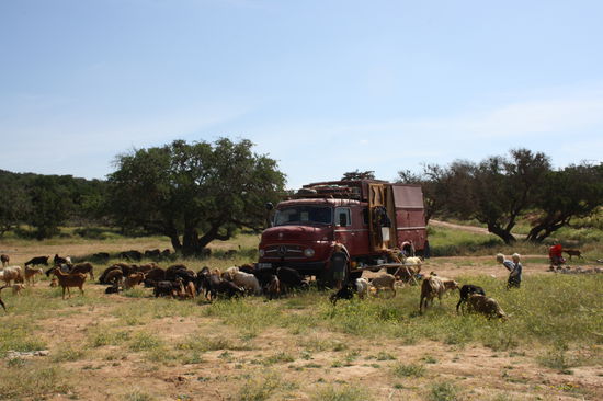 Bilderbuch-Marokko (-Teil1)