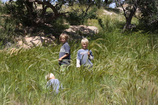 Bilderbuch-Marokko (-Teil2)