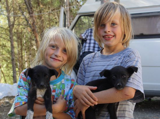 -wir haben Zuwachs bekommen-